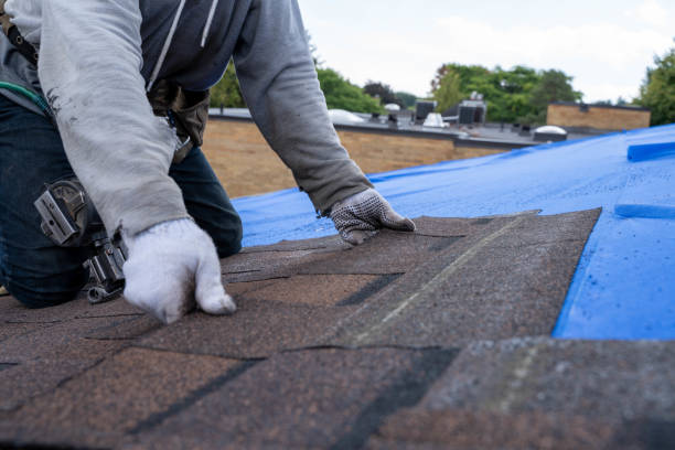 Best Roof Waterproofing Services  in Lindsborg, KS